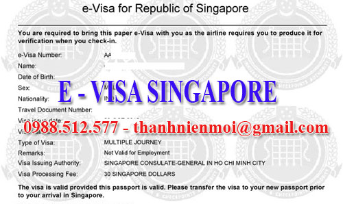 visa-singapore copy