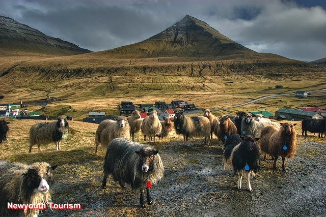 Khám Phá Quần Đảo Faroe