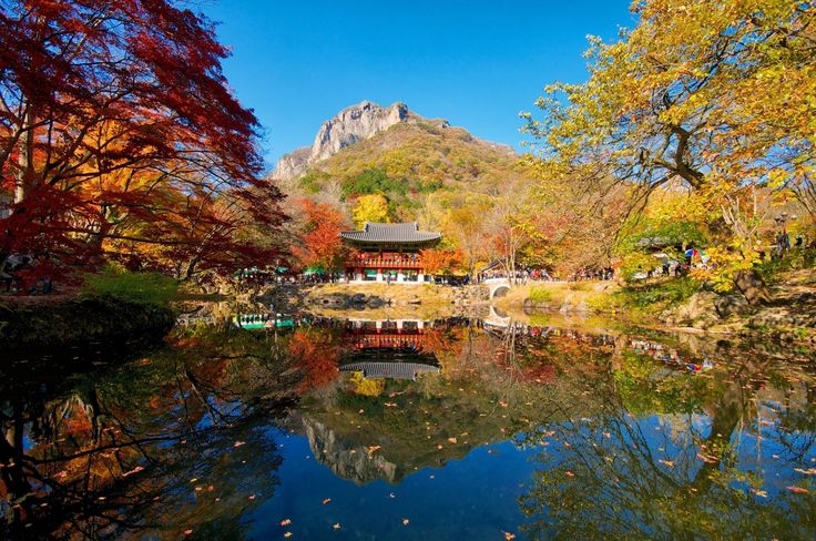 Núi Naejangsan, thành phố Jeongeup, tỉnh Jeollabuk, Hàn Quốc