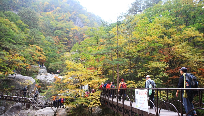 Núi Odaesan, quận Pyeongchang, tỉnh Gangwon-do, Hàn Quốc 1