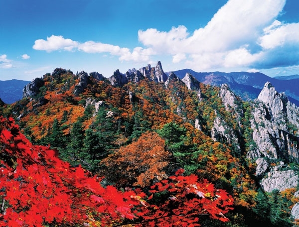 Núi Seoraksan, quận Inje, tỉnh Gangwo-do, Hàn Quốc 4