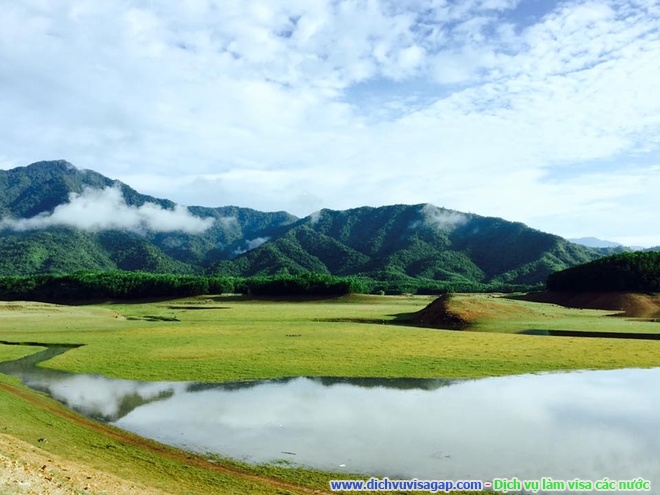 Hồ Hòa Trung – thảo nguyên cỏ vàng của Đà Nẵng 4