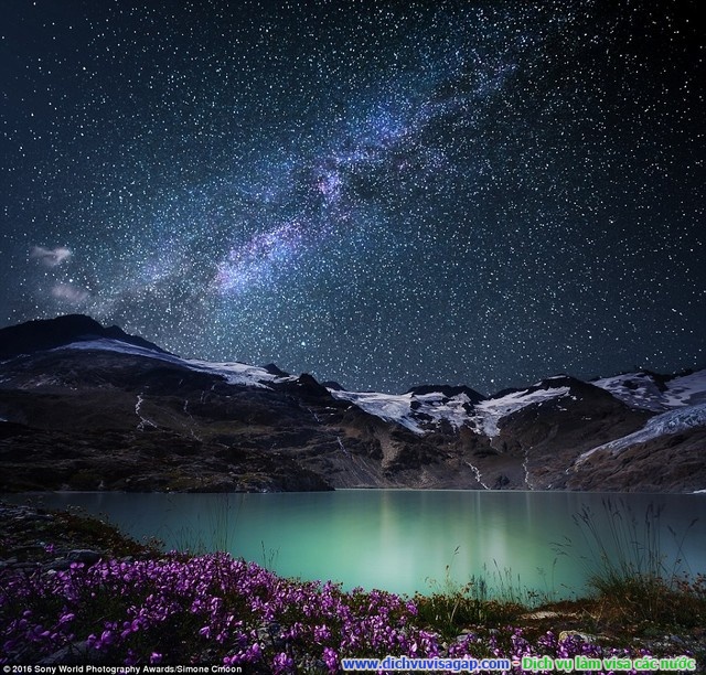 Nhiếp ảnh gia Simone Cmoon đến từ Thụy Sỹ chia sẻ hình ảnh tuyệt đẹp của bầu trời đêm với những vì tinh tú, thảm hoa mềm mại gần khu vực núi Alps.