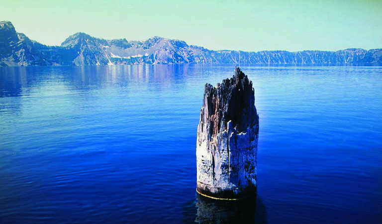 Bí ẩn thân cây dứng đứng ở hồ Crater Bang Oregon Mỹ