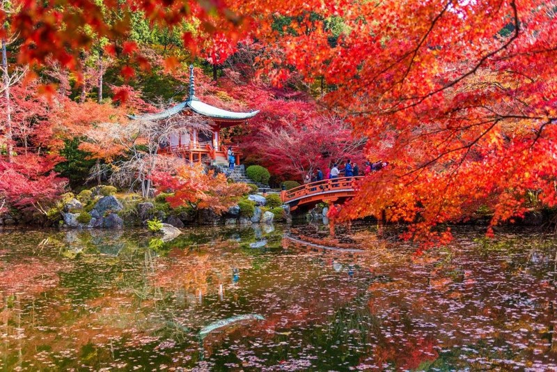 Thành phố Kyoto, Nhật Bản vào mùa thu
