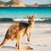 Dịch vụ làm visa du lịch Úc