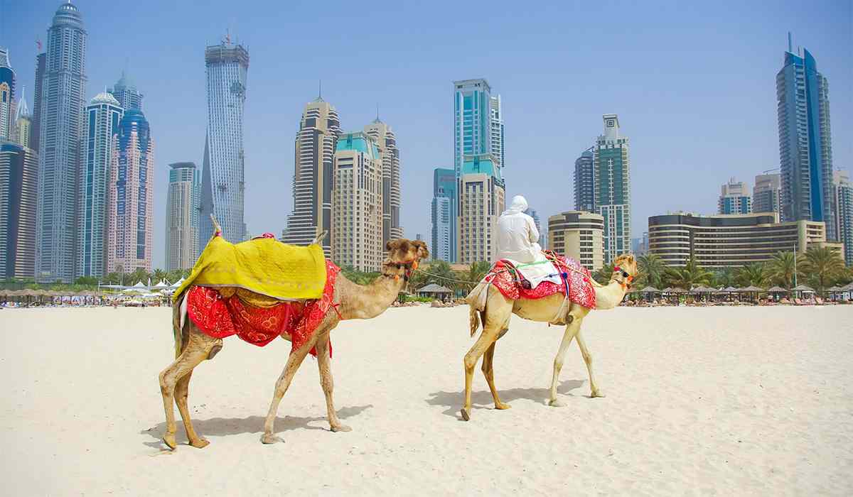 Các loại visa UAE phổ biến  Các loại visa UAE phổ biến