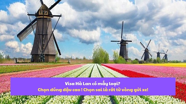 Phân biệt các loại visa Hà Lan - hiểu đúng đậu cao - hiểu sai rớt oan