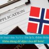 Phân biệt các loại visa Na Uy: Hiểu đúng để đậu visa dễ hơn!