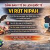 Thông tin cảnh báo y tế cho khách du lịch quốc tế: Virus Nipah