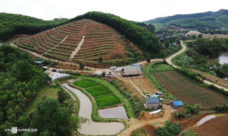 Toàn cảnh trang trại Vịt