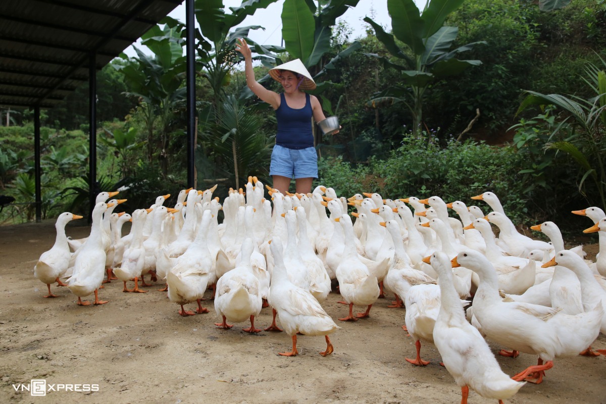 Khách du lịch cho vịt ăn